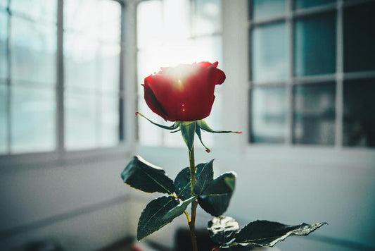 Well Hello There February !