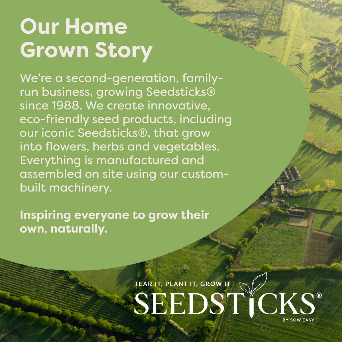Highland Cow Seedsticks®