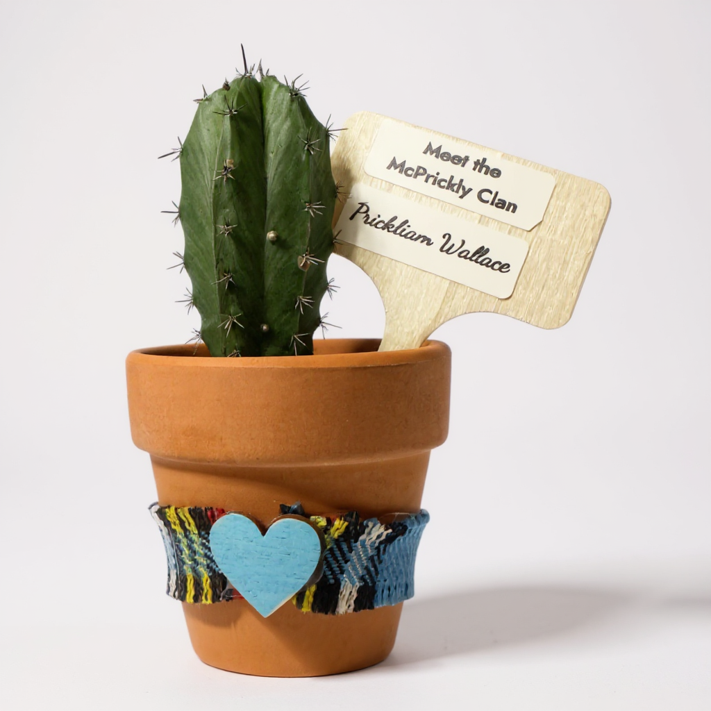 Clan Artisan McPrickly Clan Cacti