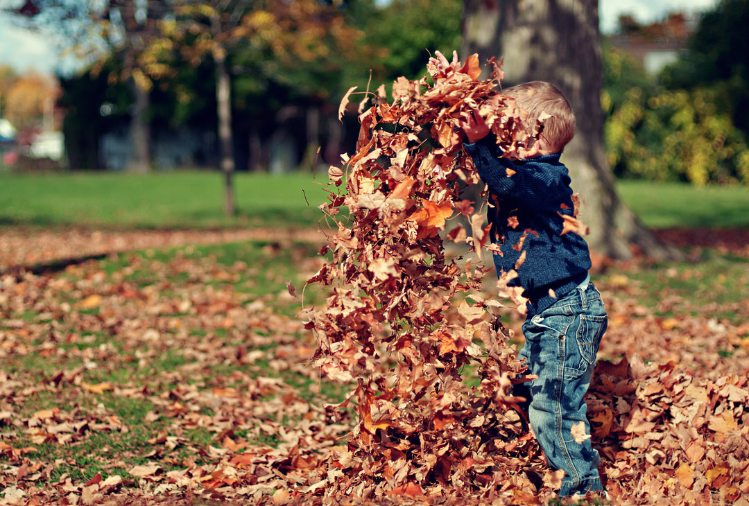 Why Autumn is our ultimate favourite Season...