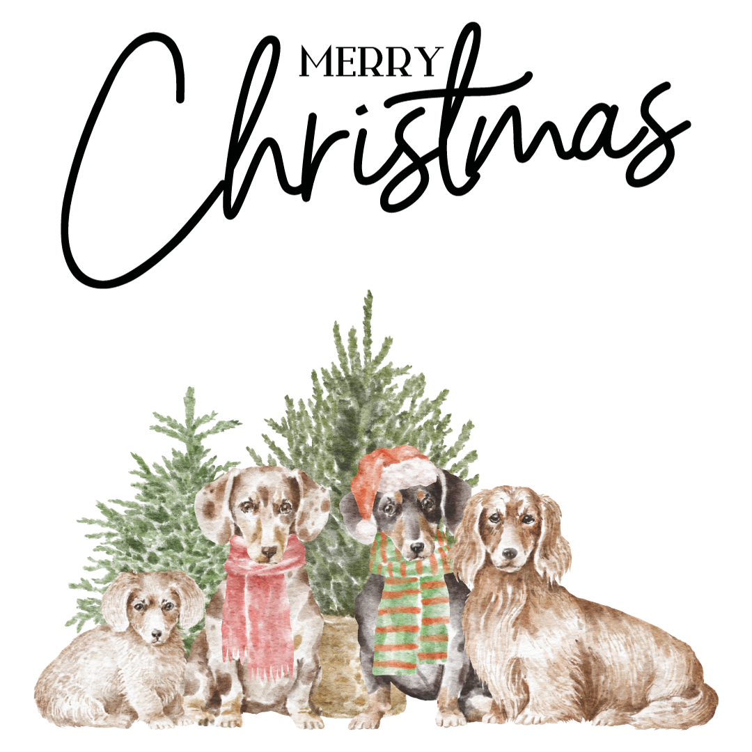 Clan Artisan Christmas Card Collection