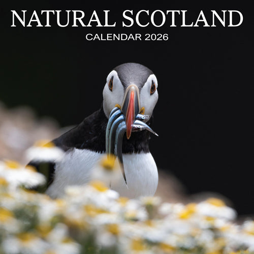 Lomond Calendars 2026