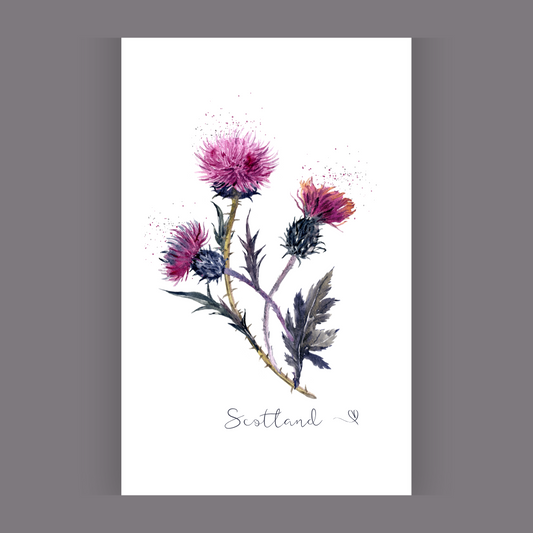 Clan Artisan Scottish Themed Tea Towels