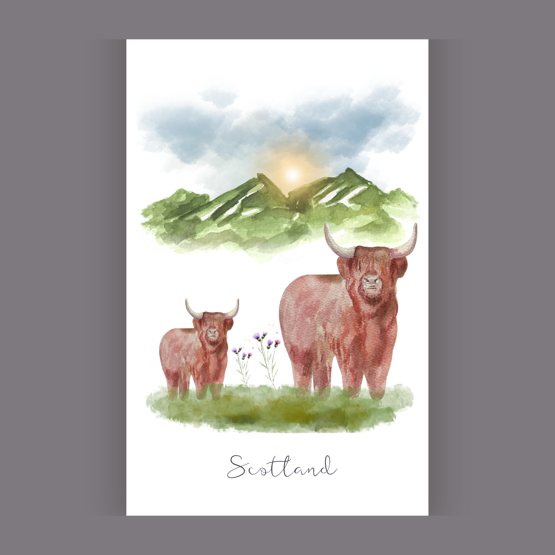 Clan Artisan Highland Cow Tea Towels