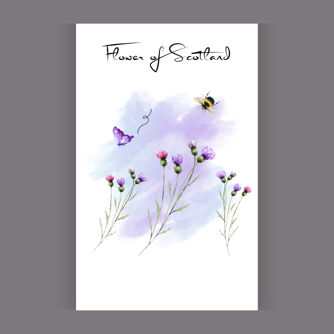 Clan Artisan Scottish Themed Tea Towels