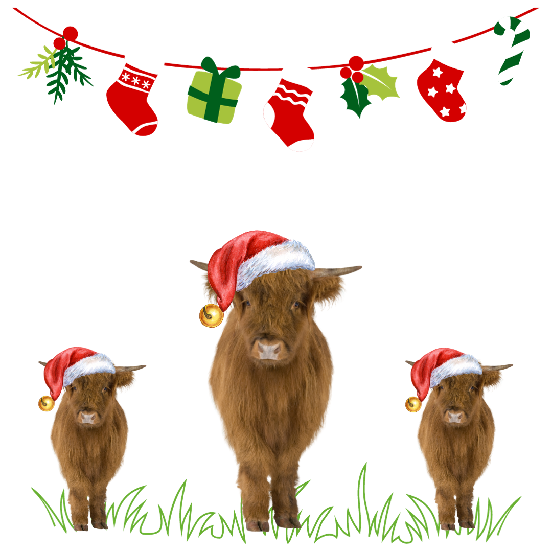 Clan Artisan Christmas Card Collection