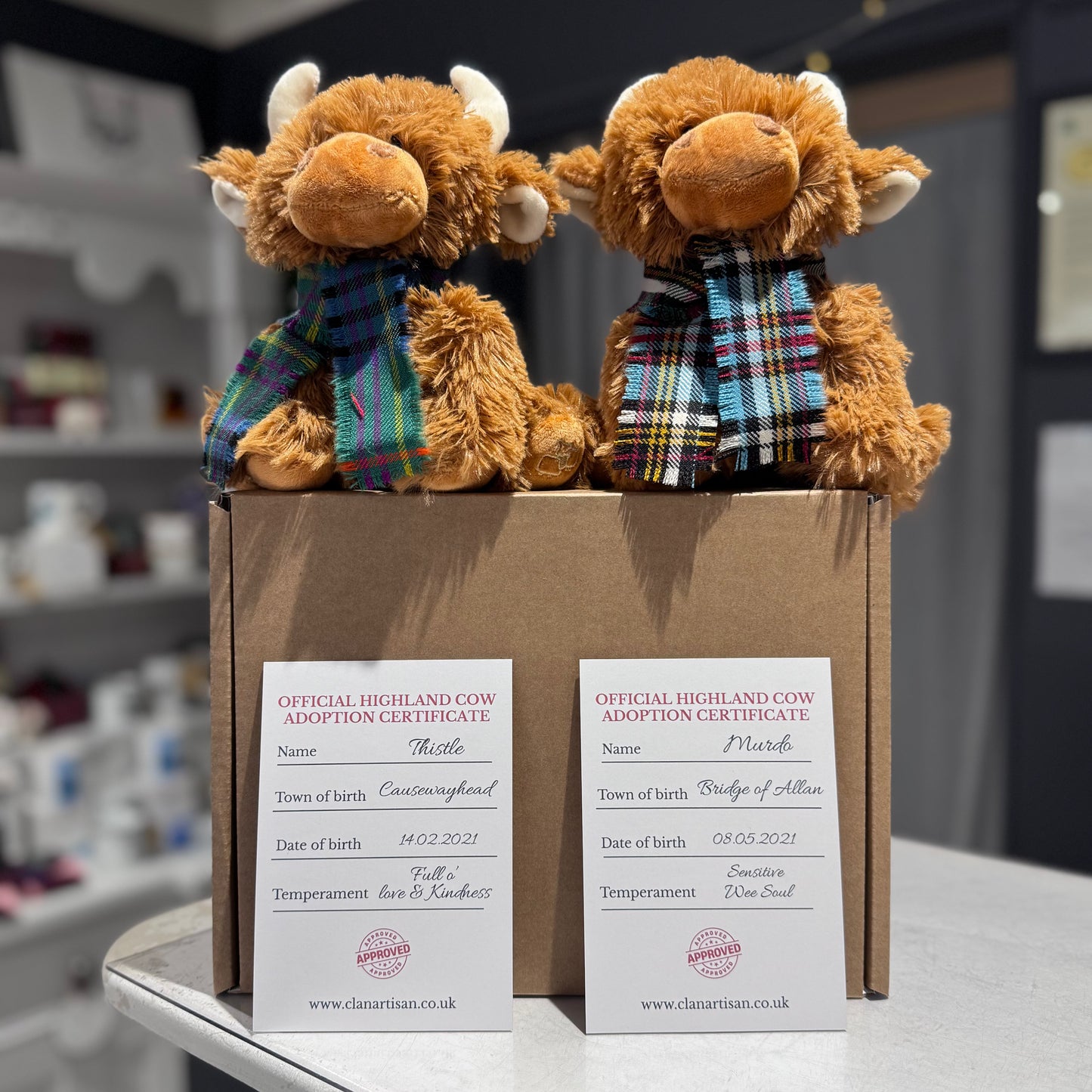 Adopt a Highland Cow 20cm