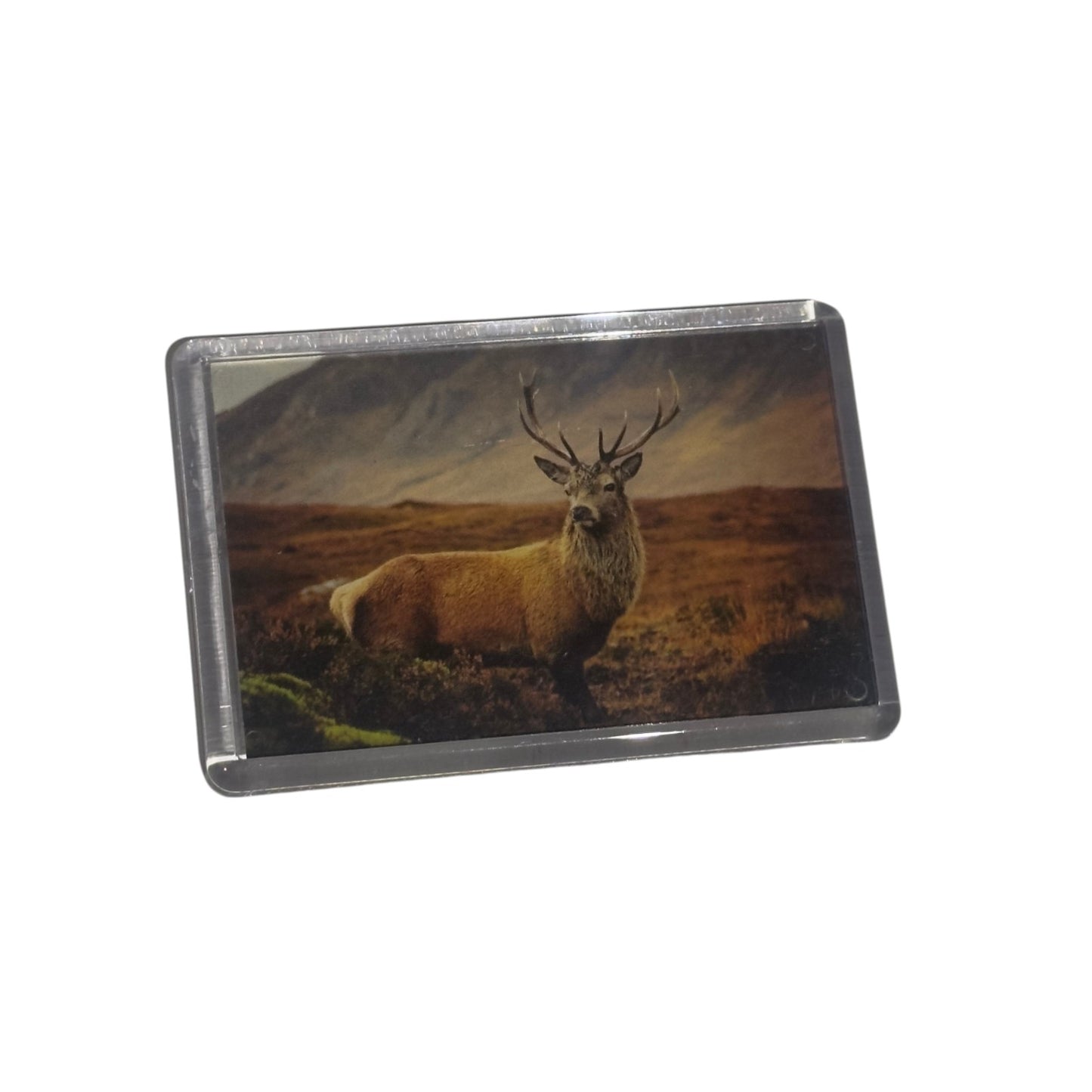The Kilted Photographer Magnets