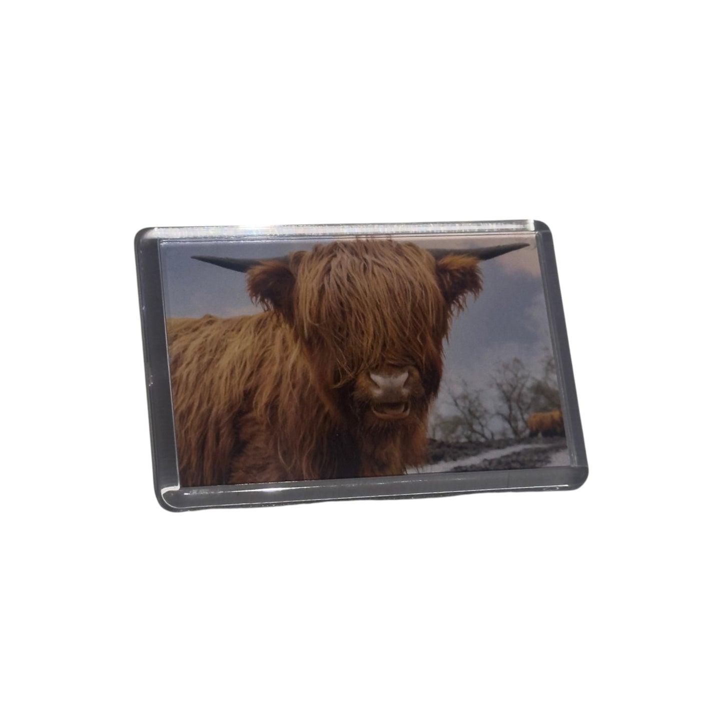 The Kilted Photographer Magnets