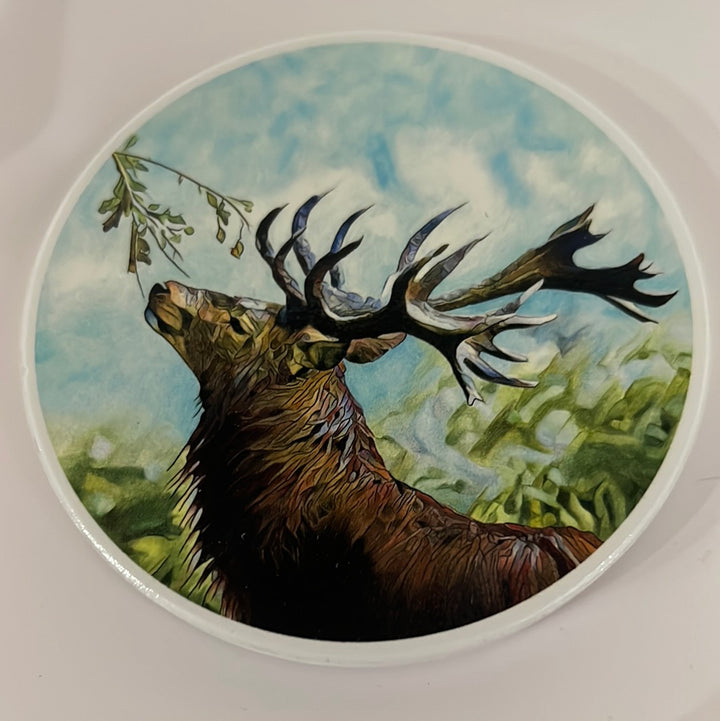 Nick Field Art Ceramic Coaster