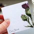 Clare Baird Sticky Notes